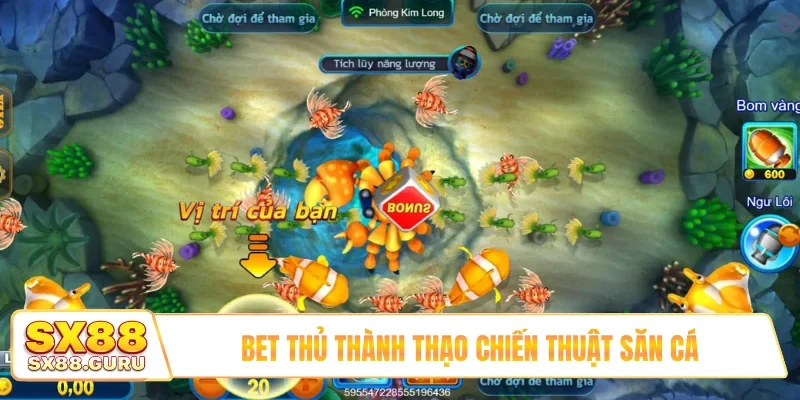 Bet thủ thành thạo chiến thuật săn cá