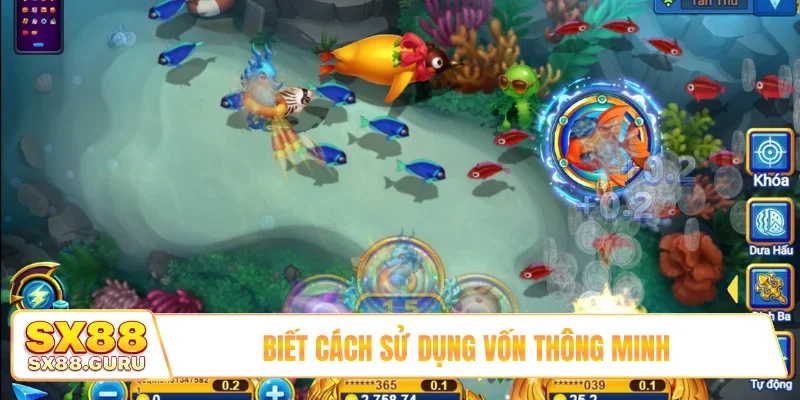 Biết cách sử dụng vốn thông minh