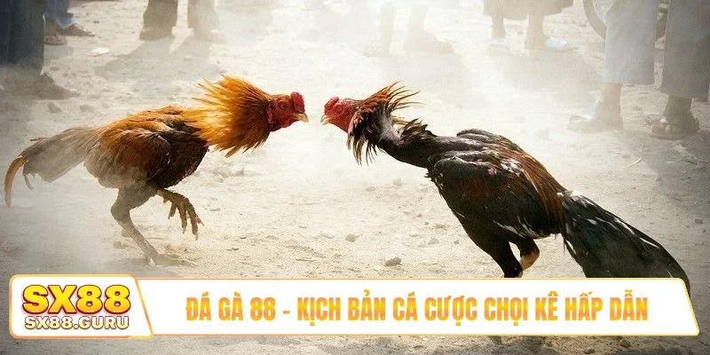 Đá gà 88