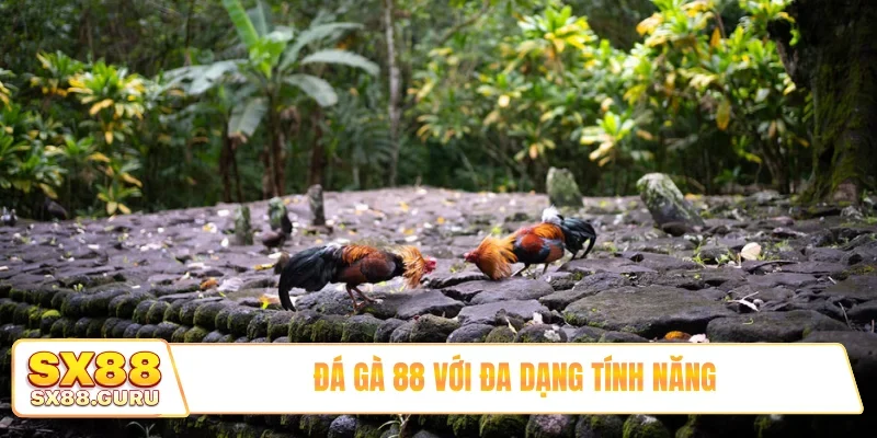 Đá gà 88 với đa dạng tính năng