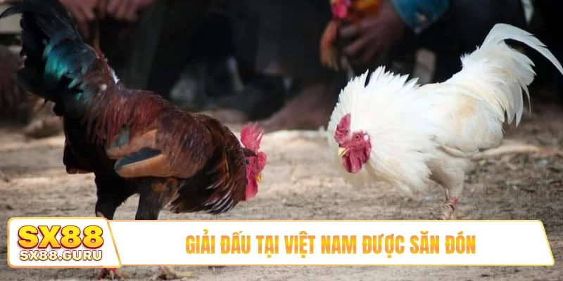 Giải đấu tại Việt Nam được săn đón