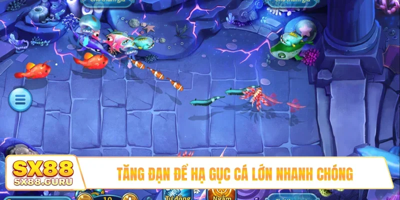 Tăng đạn để hạ gục cá lớn nhanh chóng