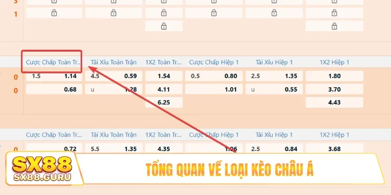 Tổng quan về loại kèo châu Á